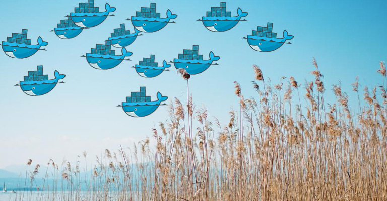 Docker Swarm for Clustering 